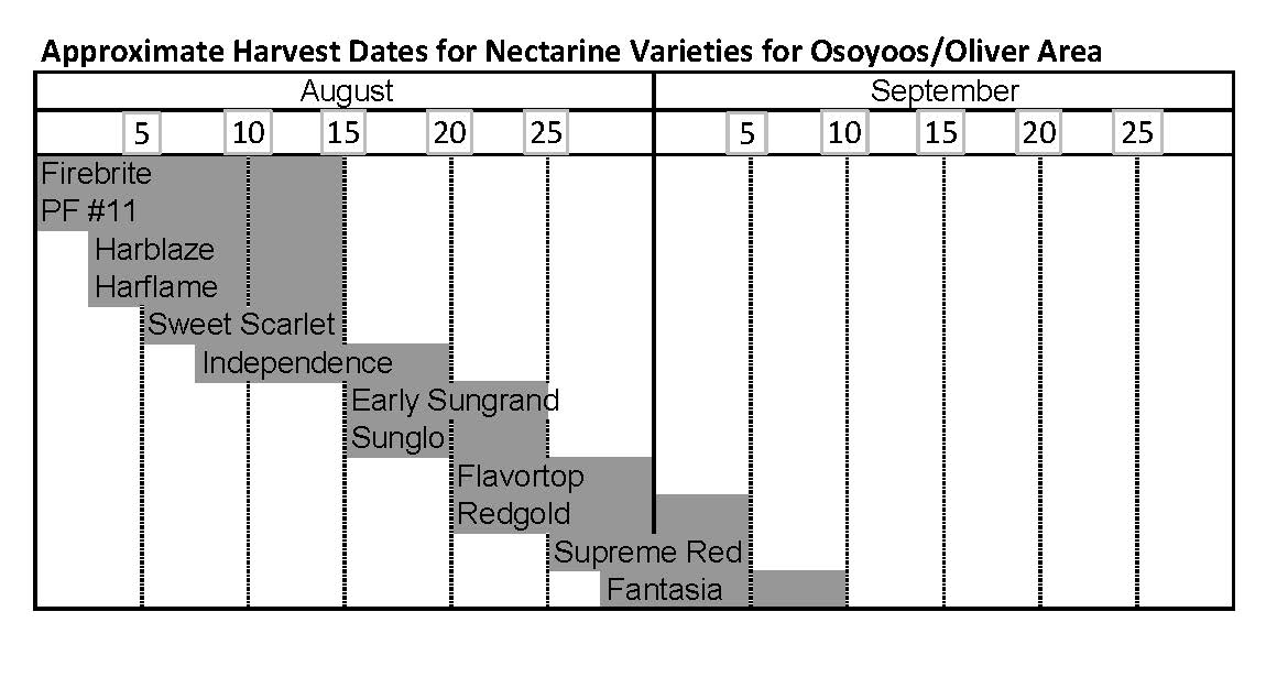 nectarine-varieties-bc-tree-fruit-production-guide